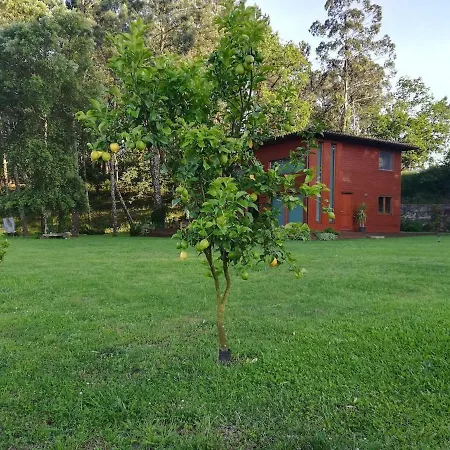 Wooden House 阿尔库什迪瓦尔德维什